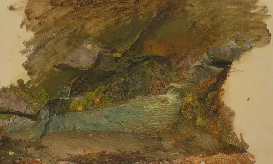 Woodland Stream