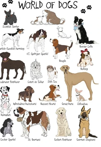 World of Dogs