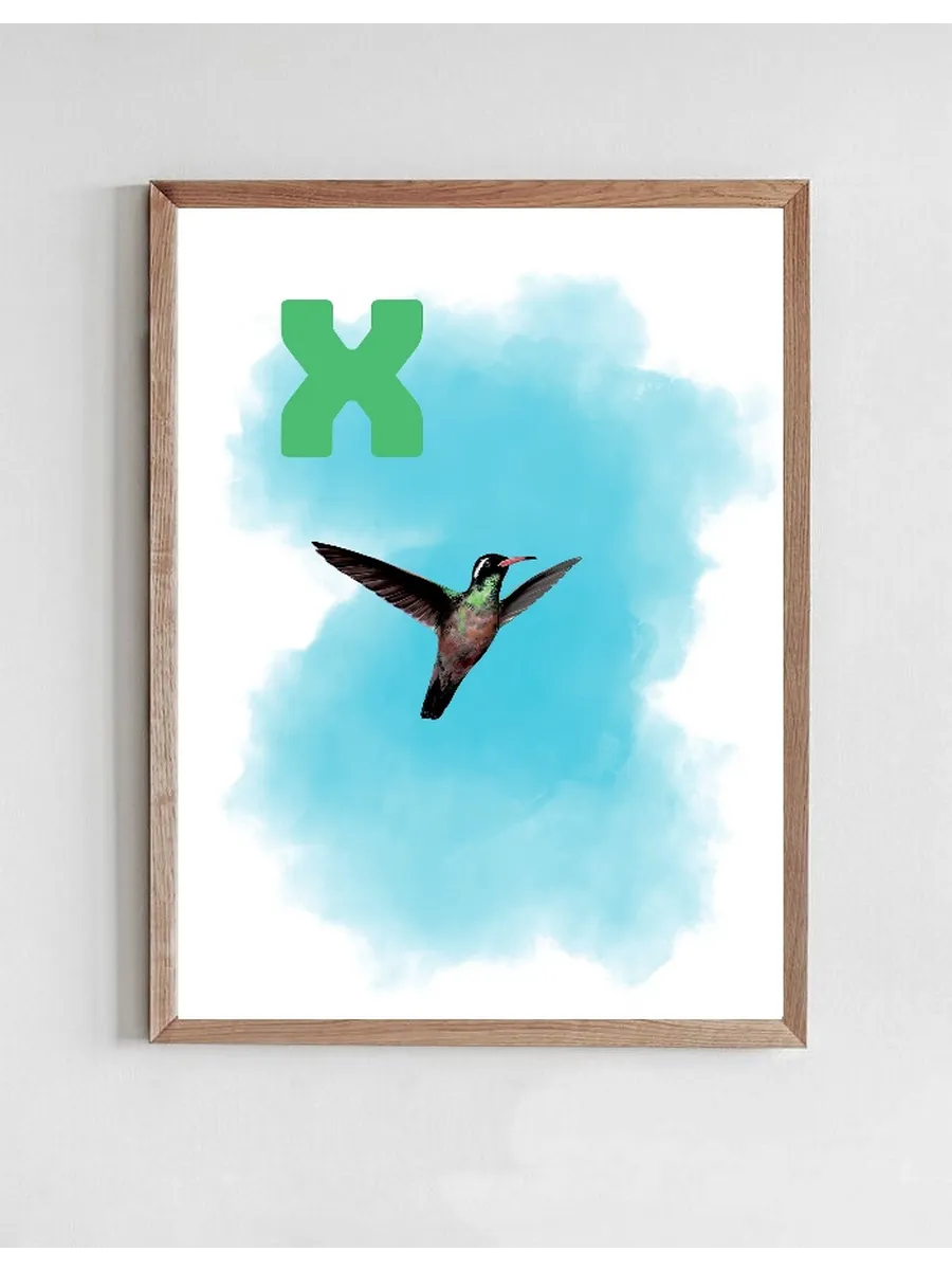 X Blue Xantus