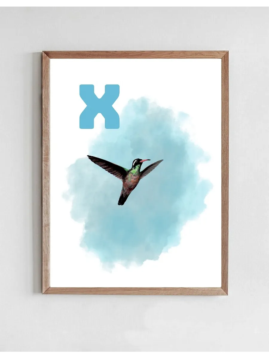 X Light Blue Xantus