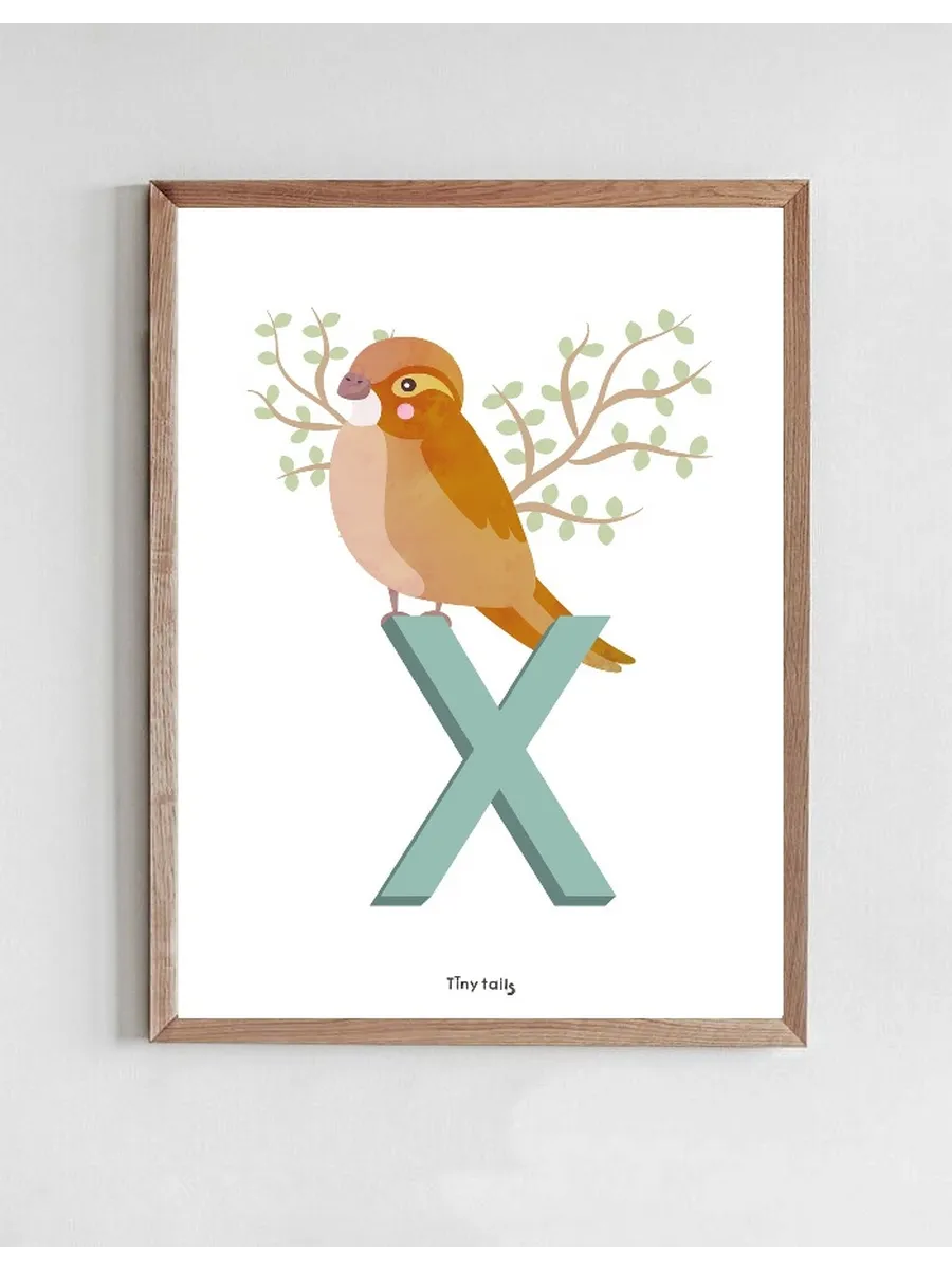X for Xenops