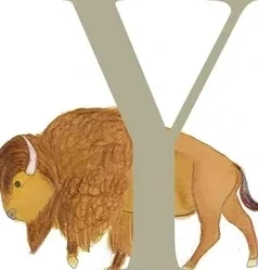 Y - Yak