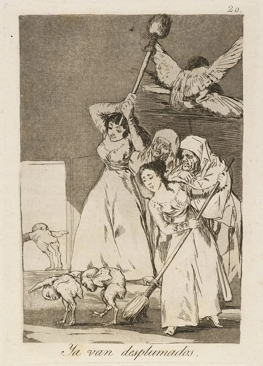 Ya van Desplumados. (there They Go Plucked.)