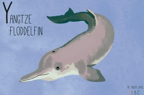 Yangtze Floddelfin