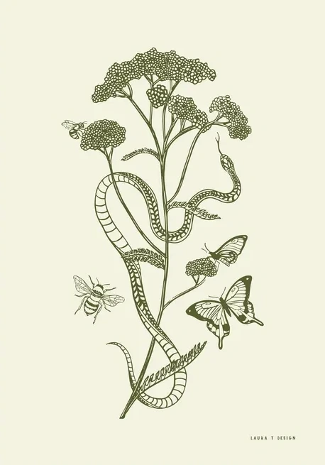 Yarrow
