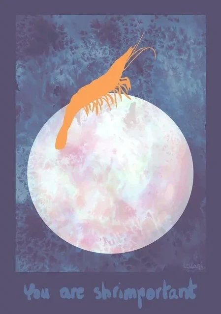 You Are Shrimportant