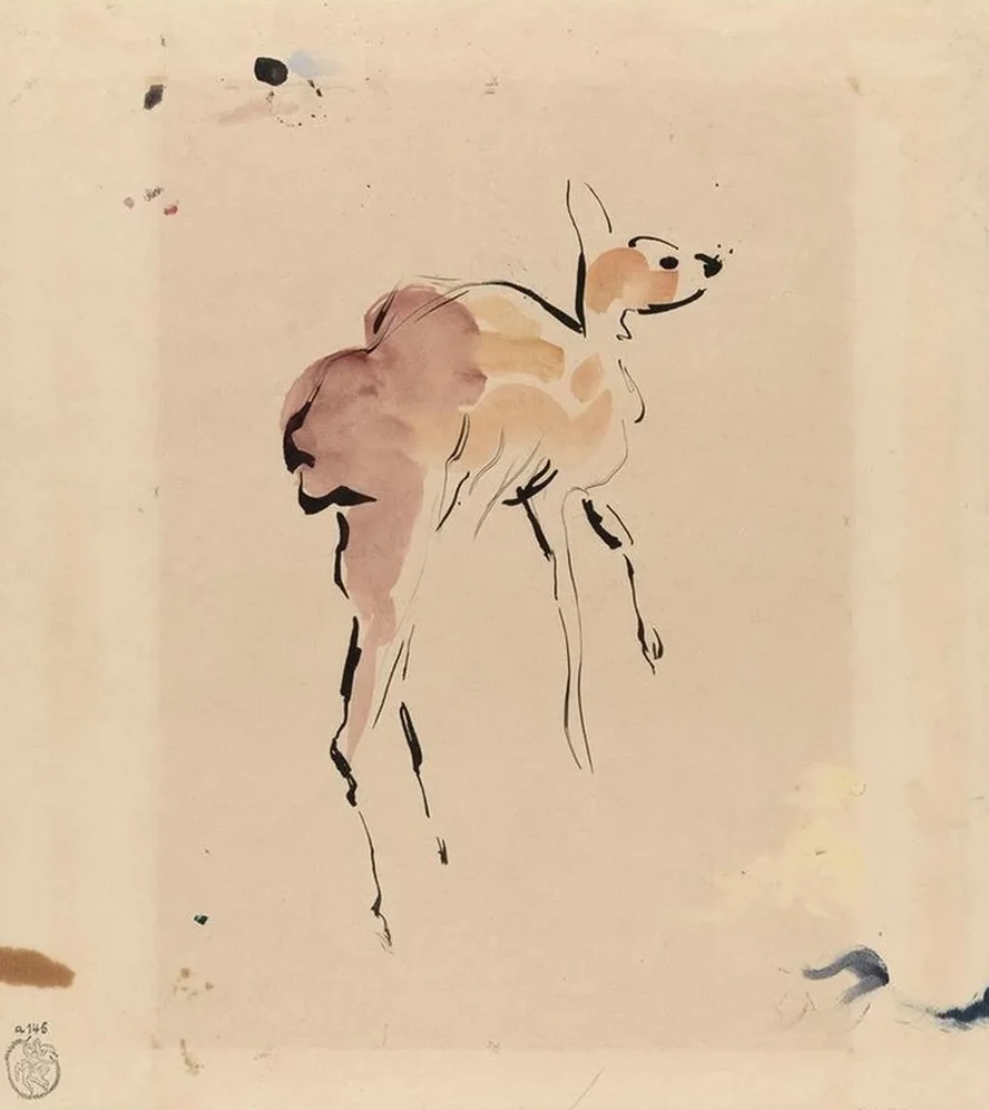 Young Deer