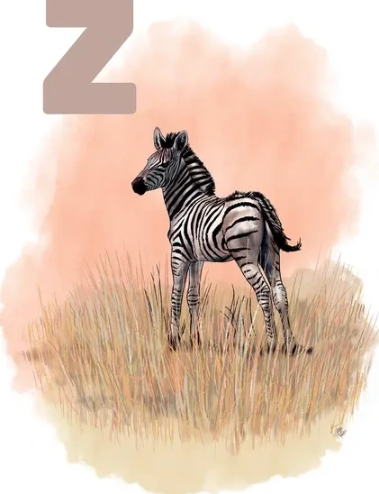 Z Sand Zebra