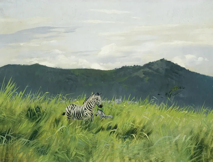 ZebraOn The Steppe