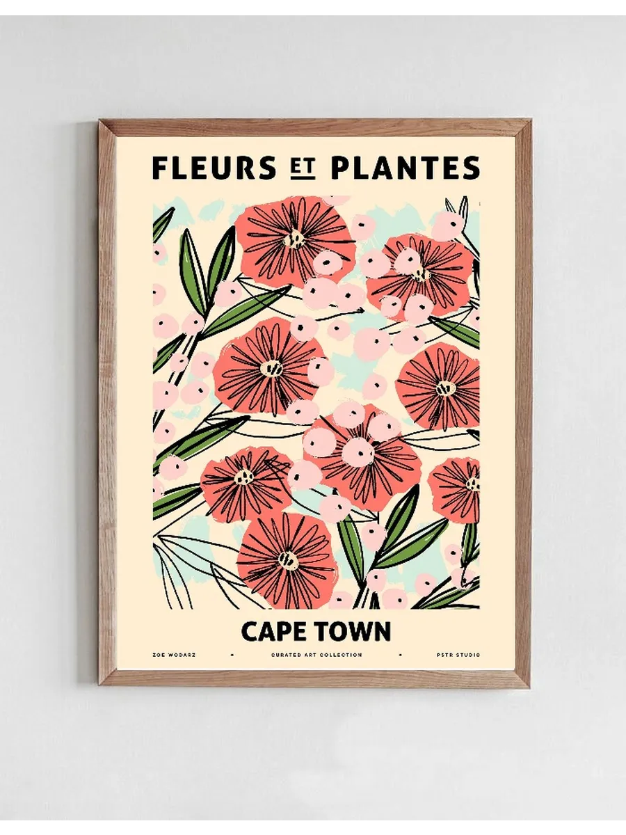 Zoe - Fleurs et Plantes - Capetown