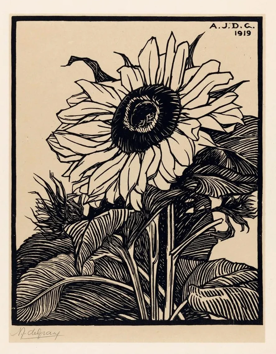 Zonnebloem