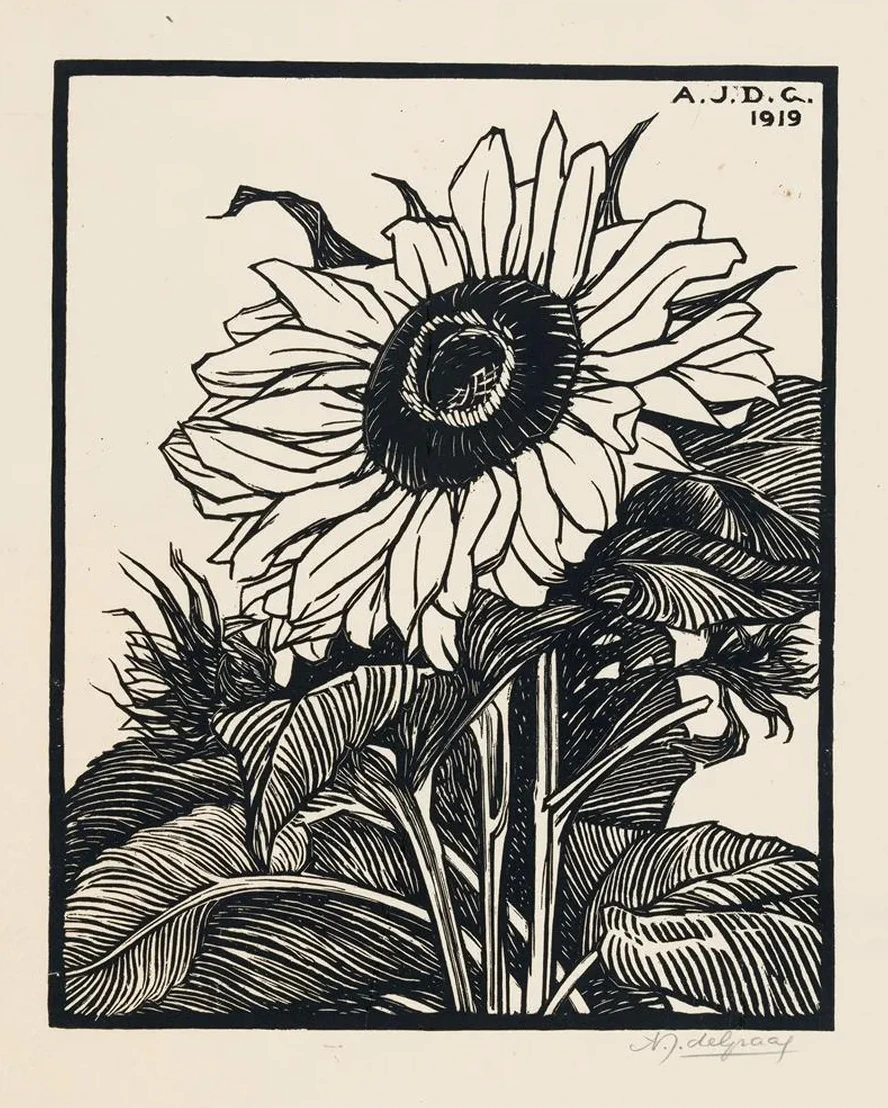 Zonnebloem