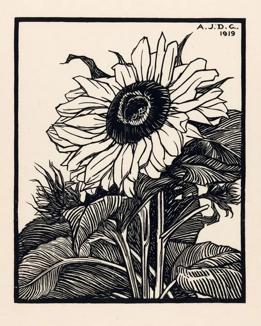 Zonnebloem
