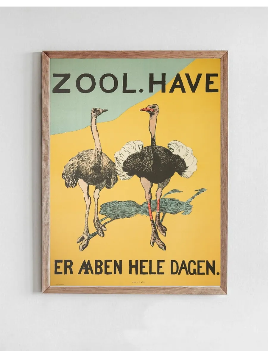 Zoologisk Havens Strudser