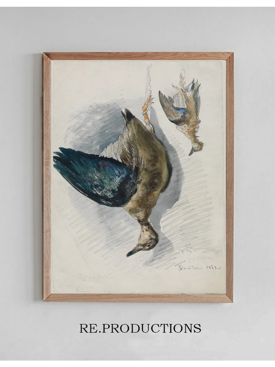 Zwei Studien eines Vogels