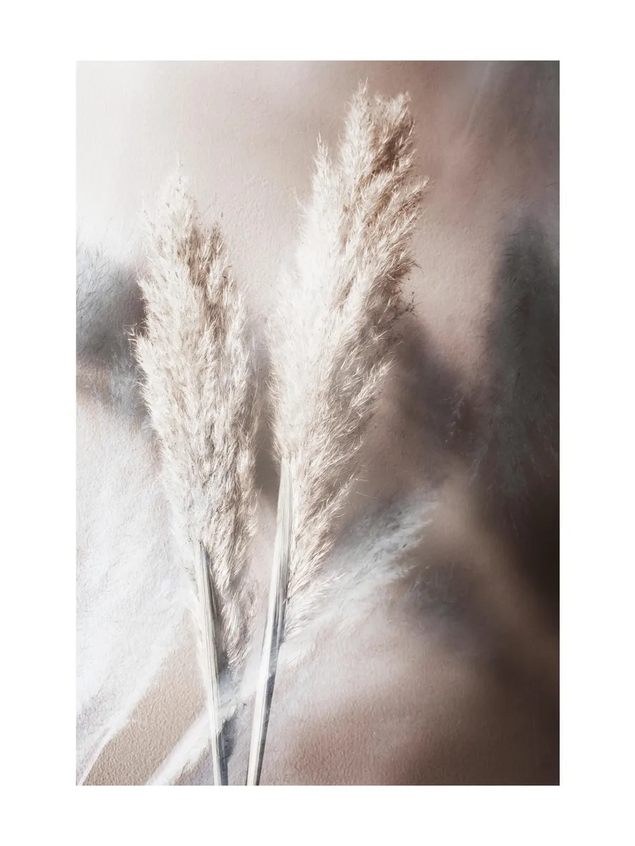 Abstract Reeds No1