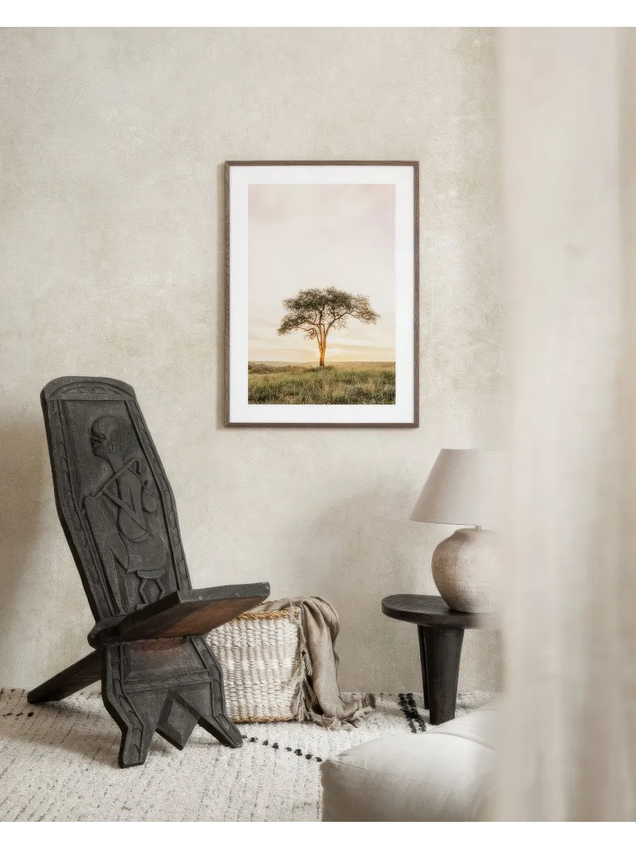 Acacia Tree
