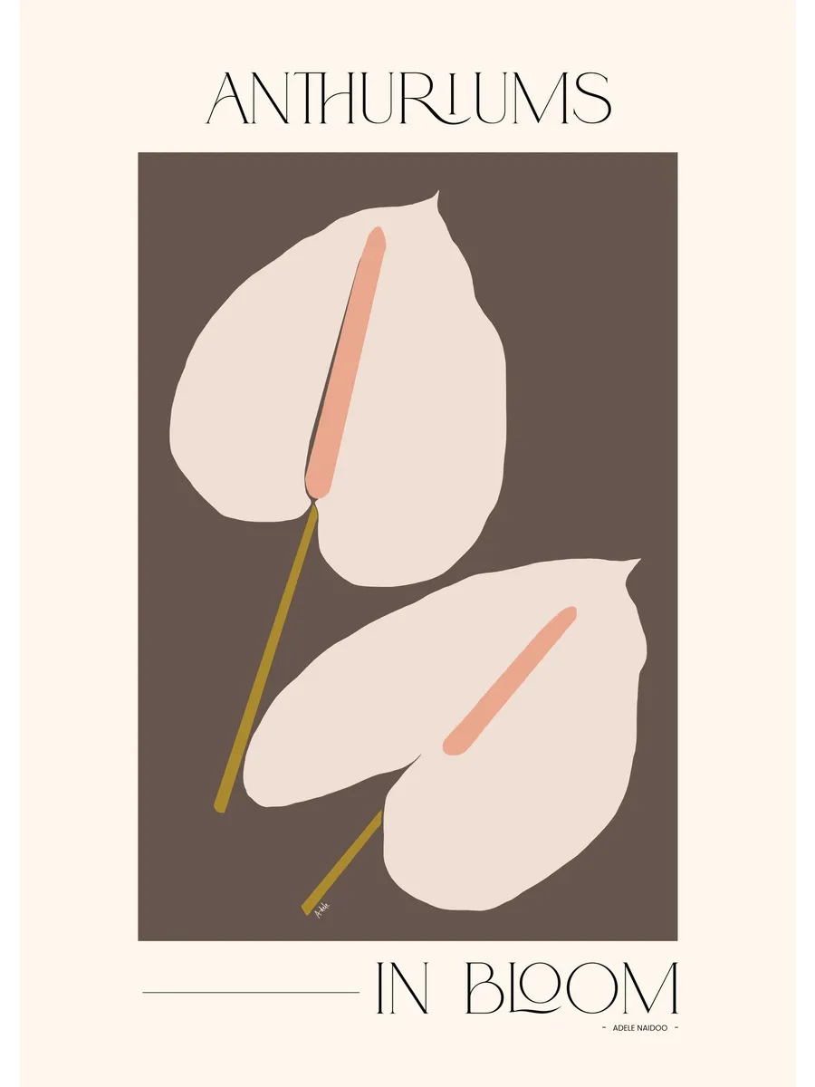 Adele Naidoo Anthuriums in Bloom