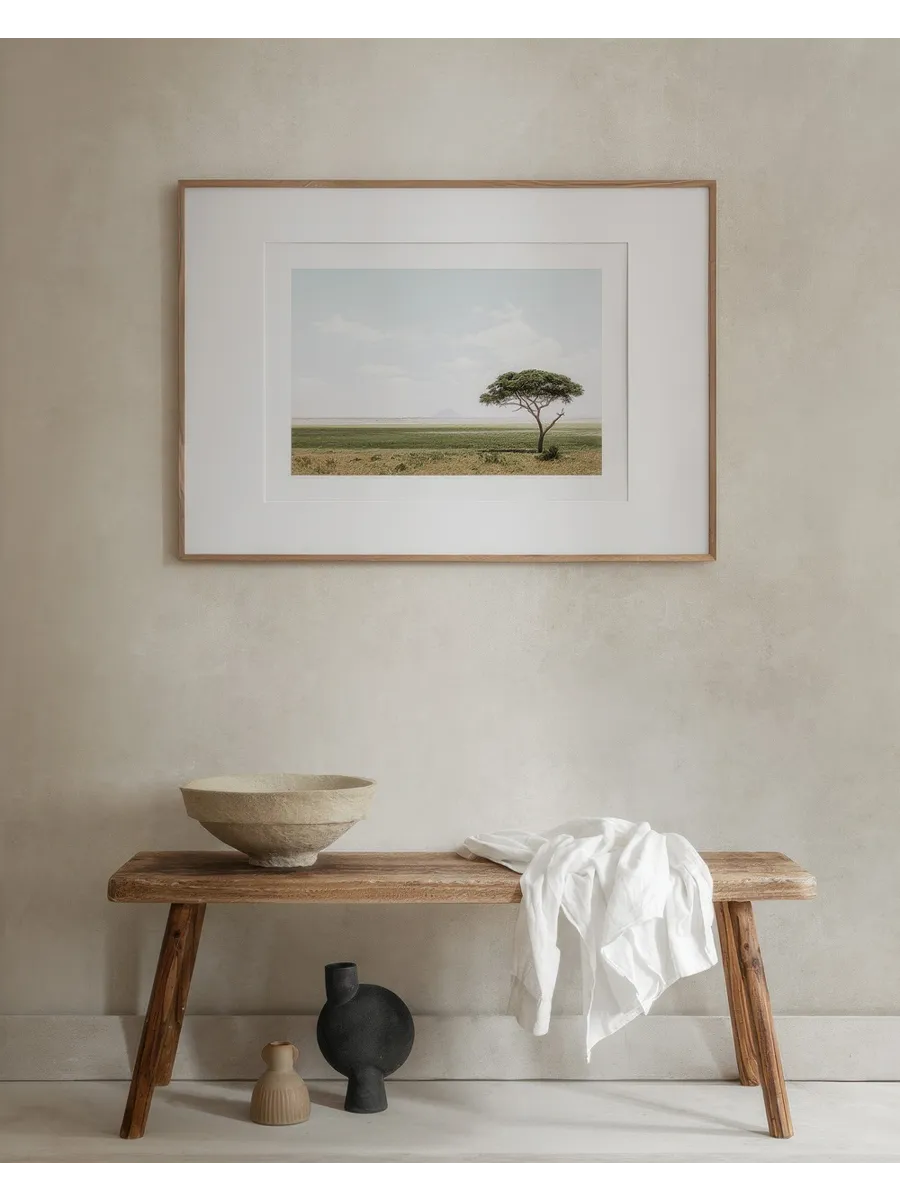 African Landscape