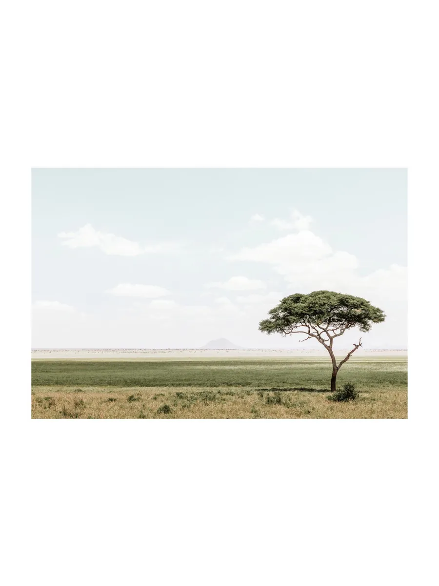 African Landscape