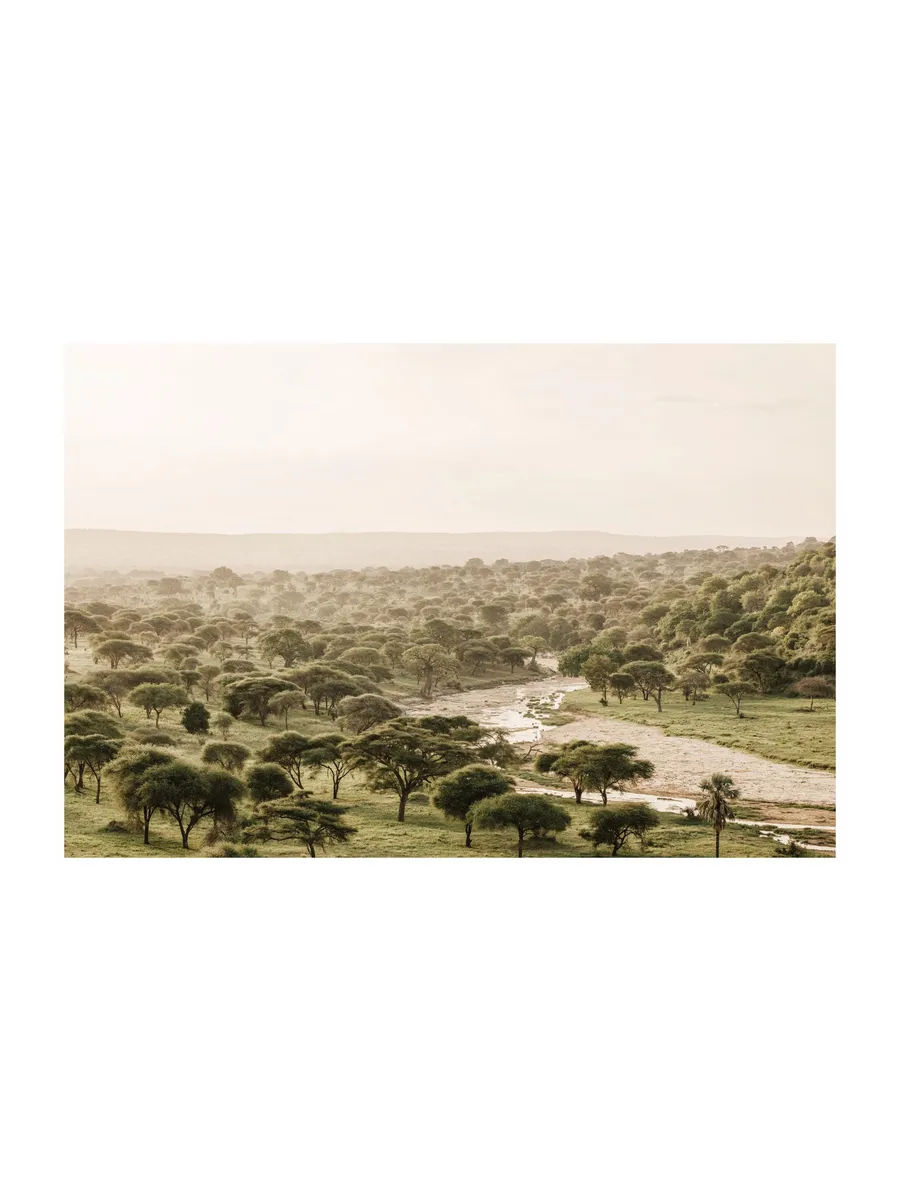 African Wilderness