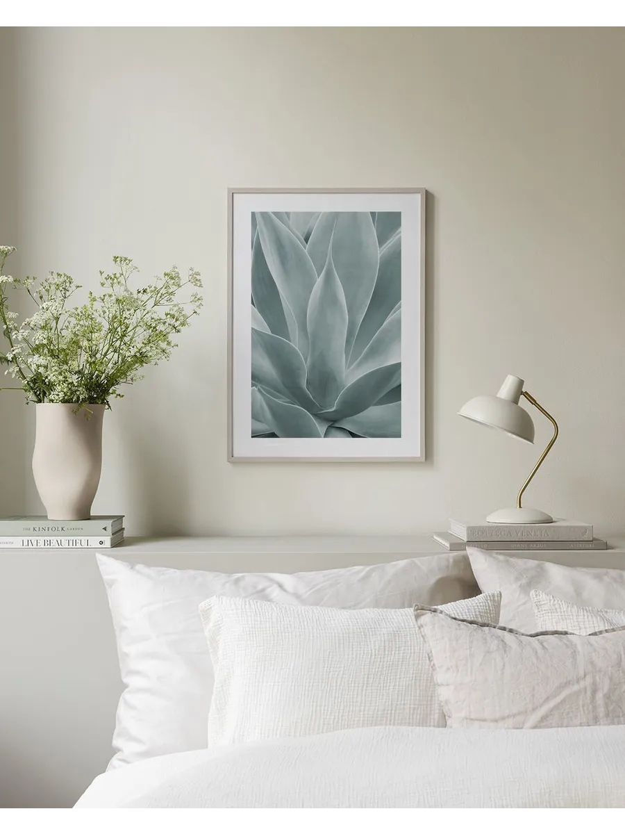 Agave Leaves No1