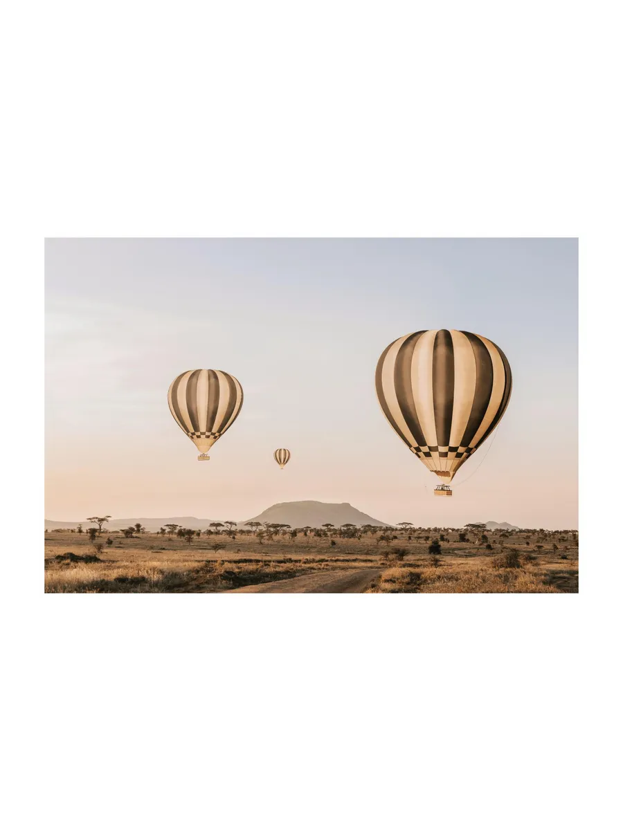 Air Balloons Over Serengeti