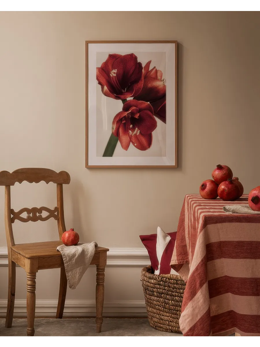 Amaryllis in Red