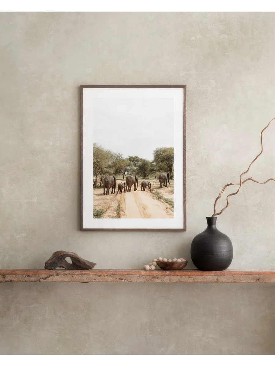 An Elephants Journey
