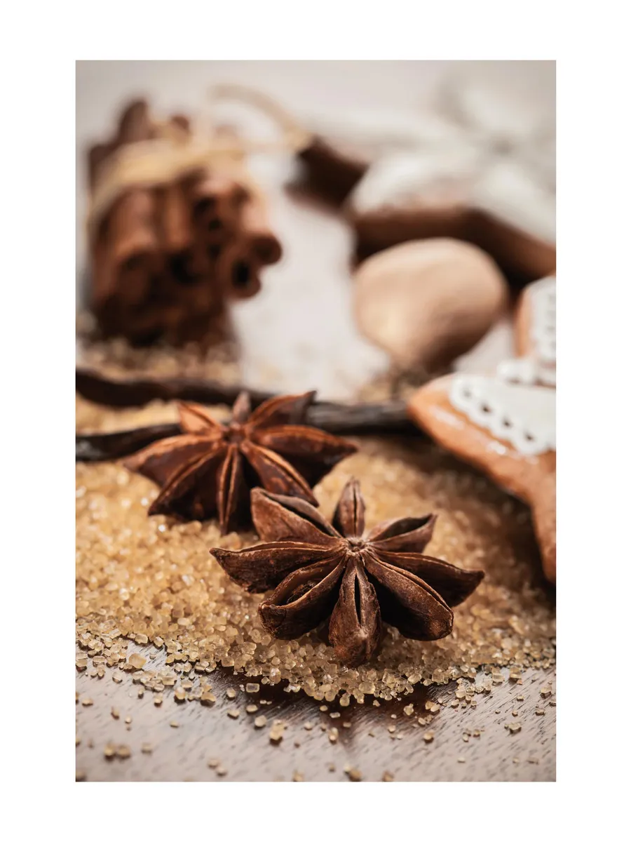 Anis Cinnamon