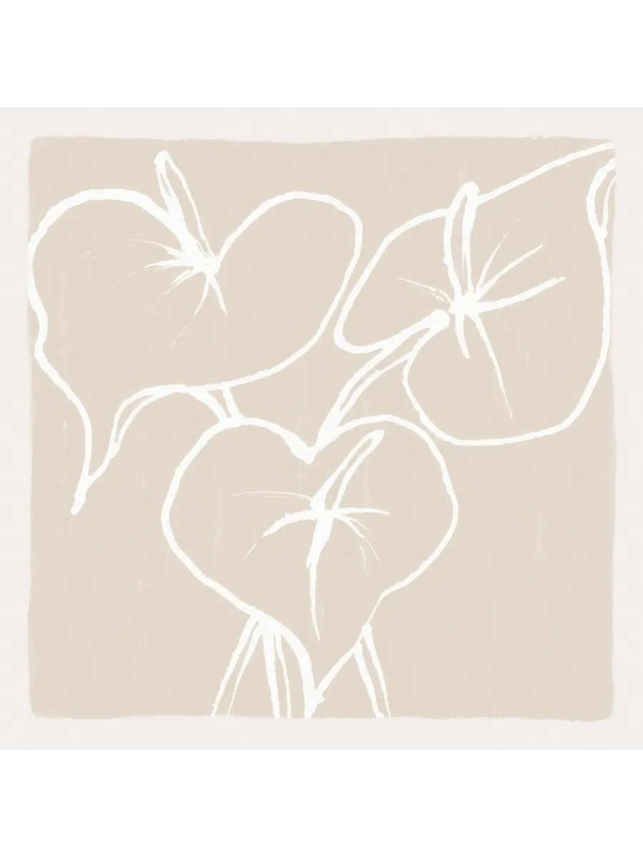 Anthurium Lines