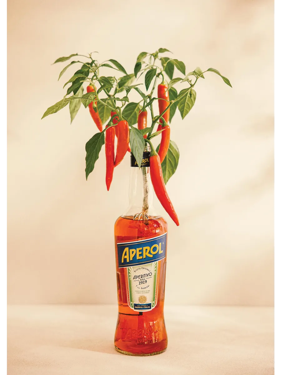 Aperol Chili