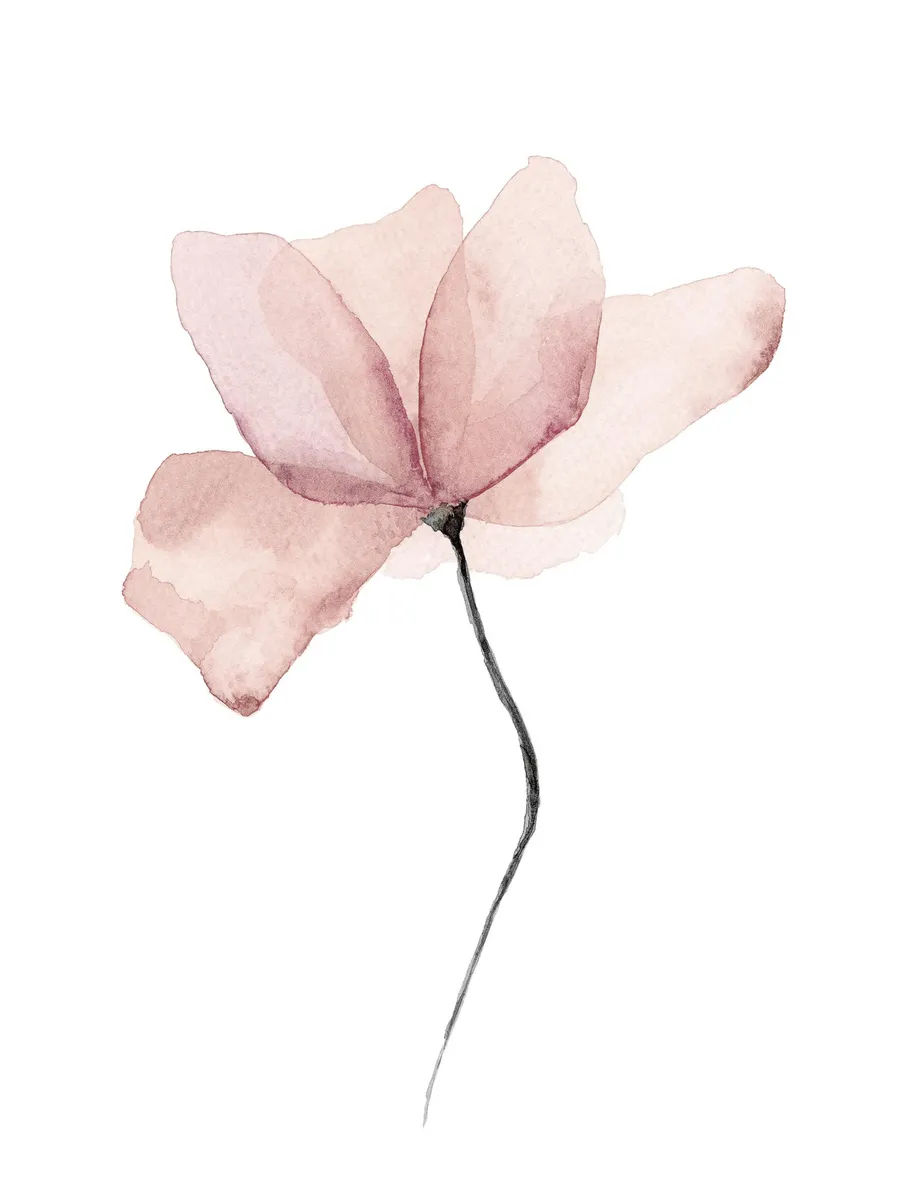 Aquarelle Flower