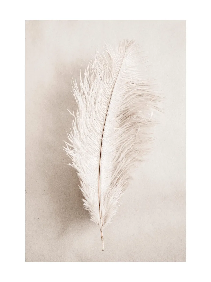 As a Feather