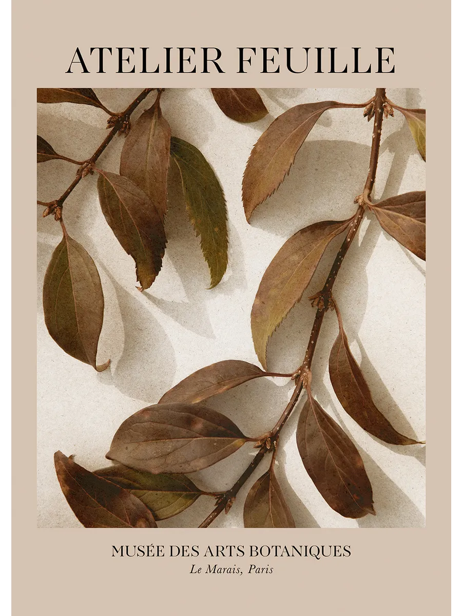 Atelier Feuille No1