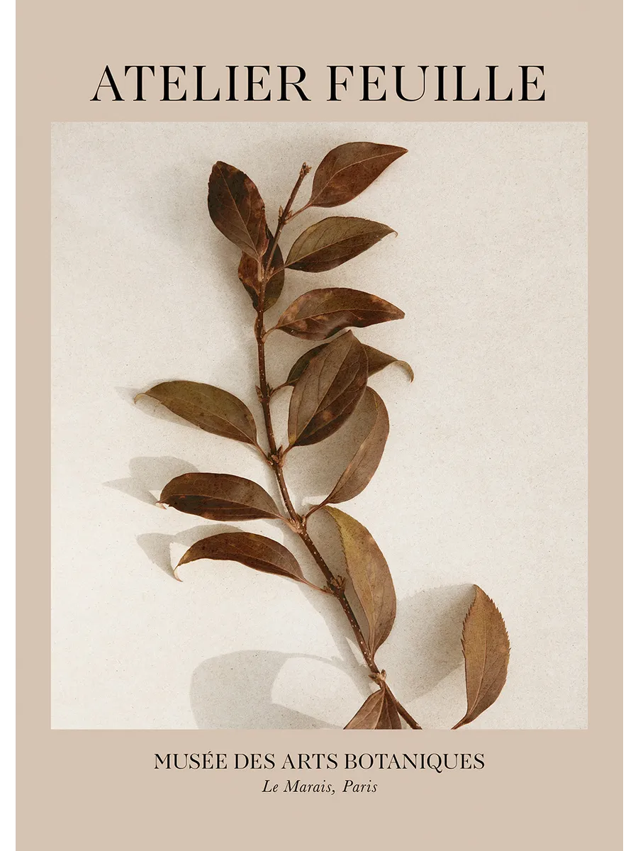 Atelier Feuille No2