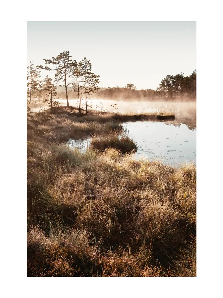 Autumn Dawn