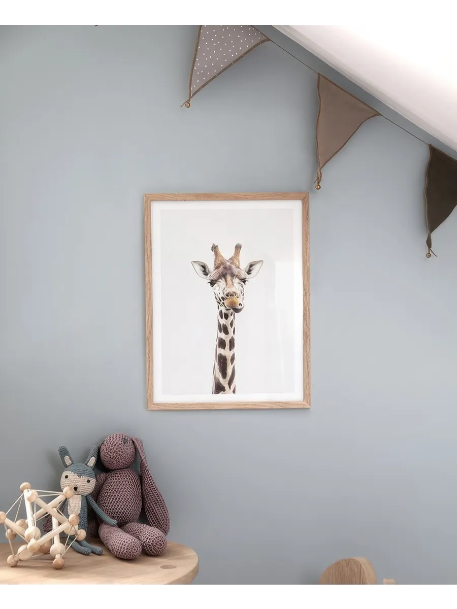 Baby Giraffe