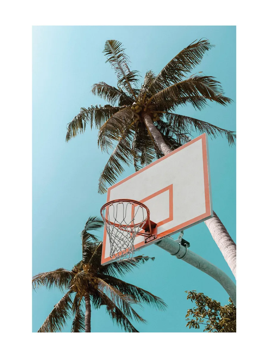 Basketball Palms