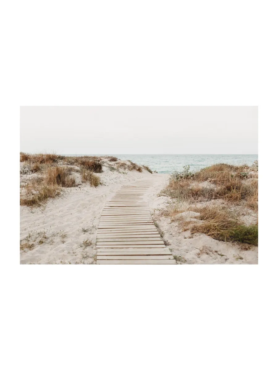 Beach Path