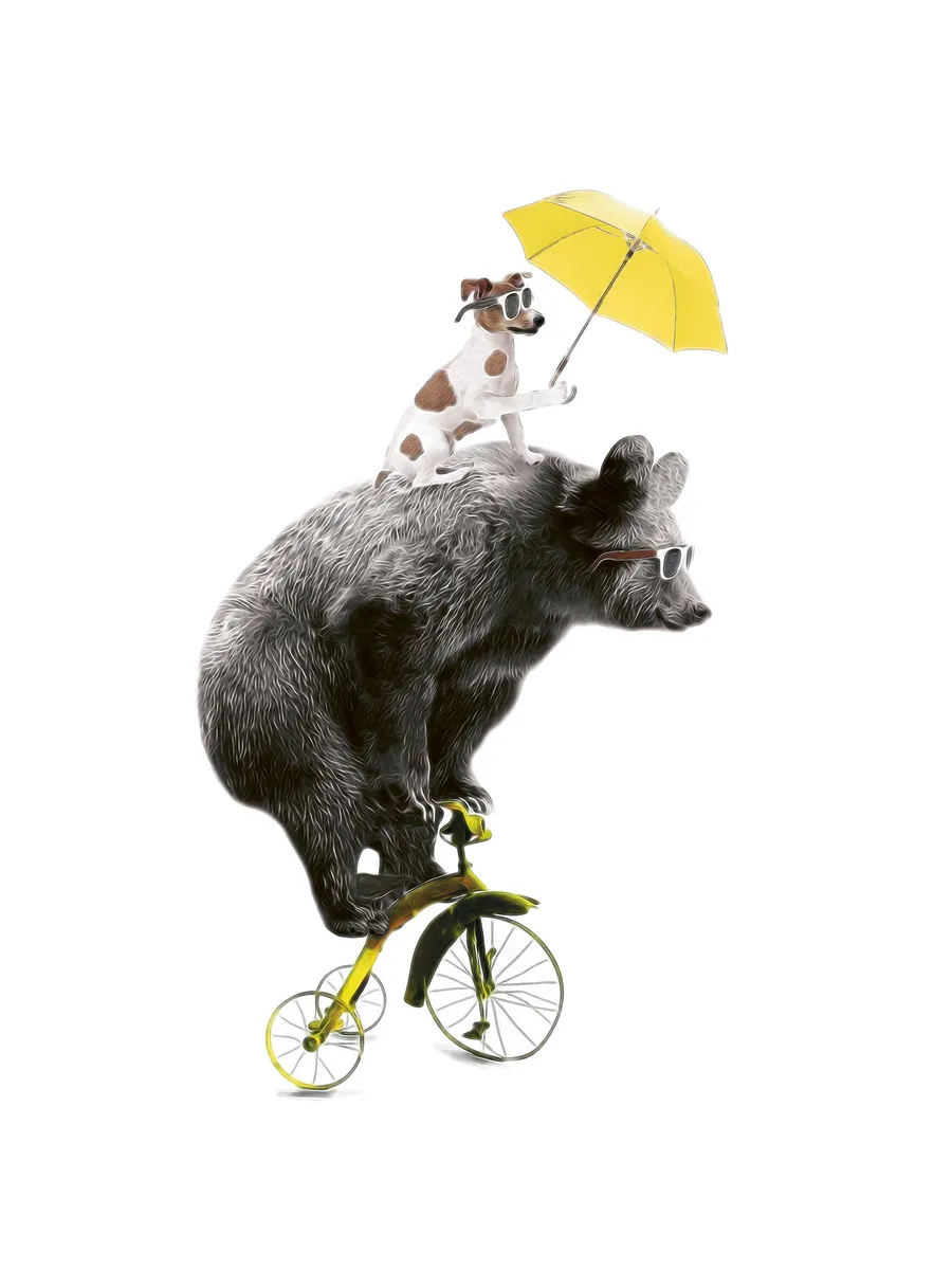 Bear on Yellow Bike