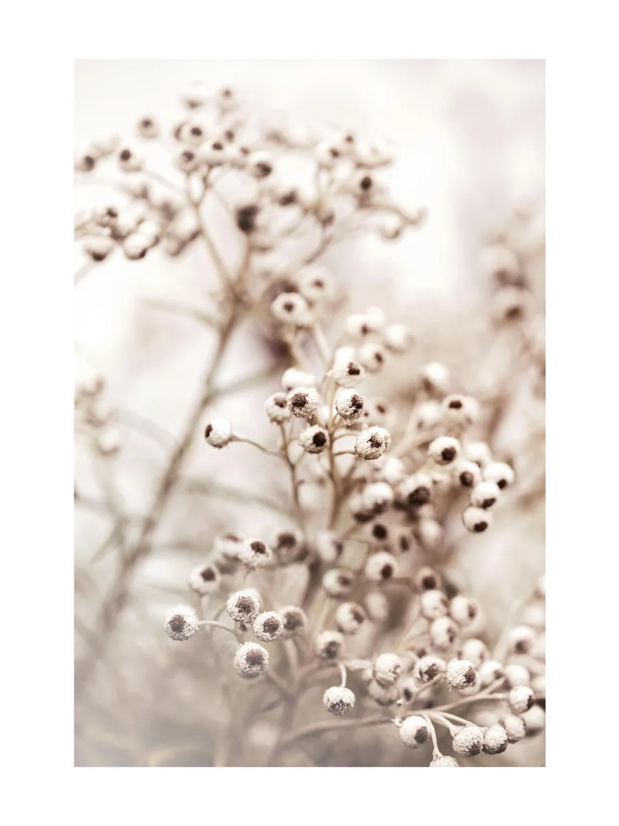 Beige Botanical Bokeh No2
