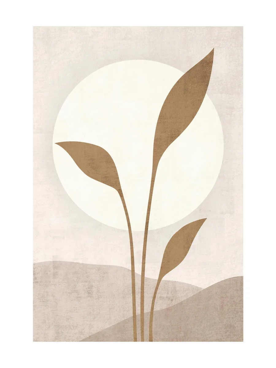 Beige Solar