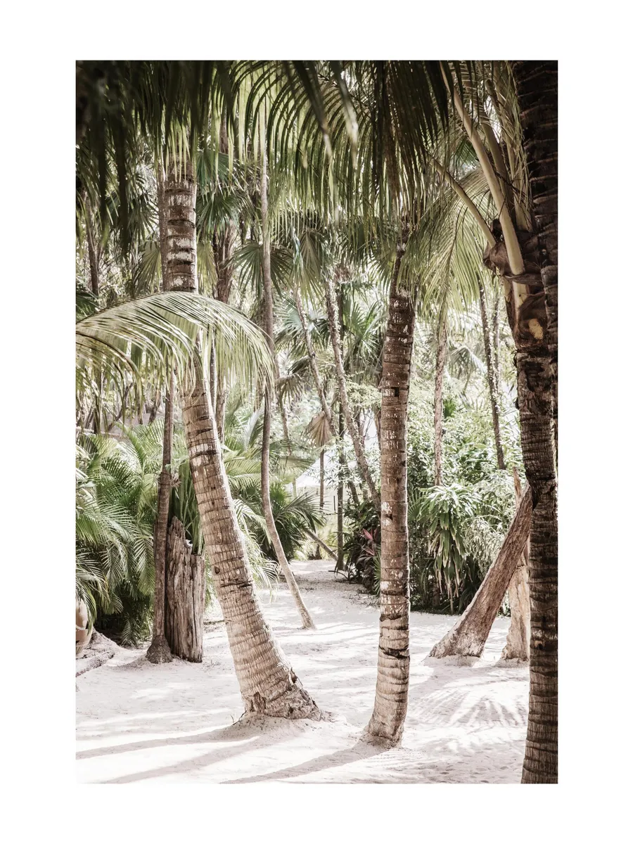 Between the Palms