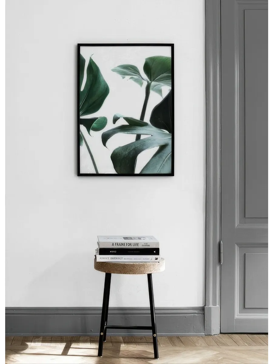 Big Monstera No3