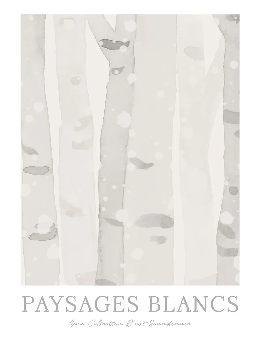 Birch Forest