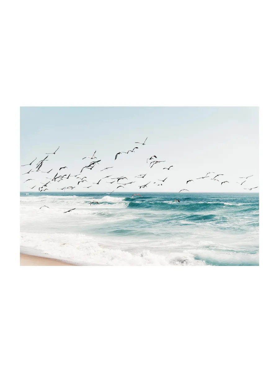 Birds on Seascape