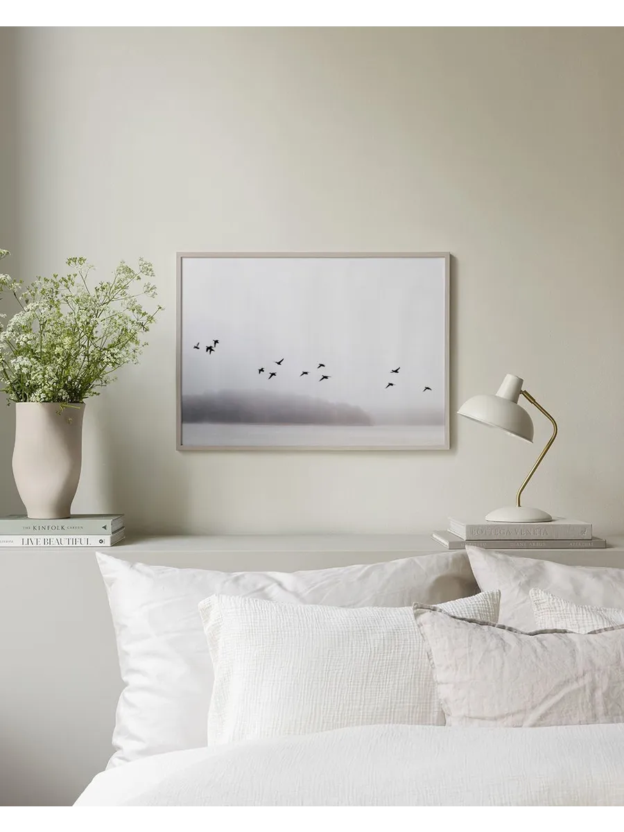 Birds Over Lake