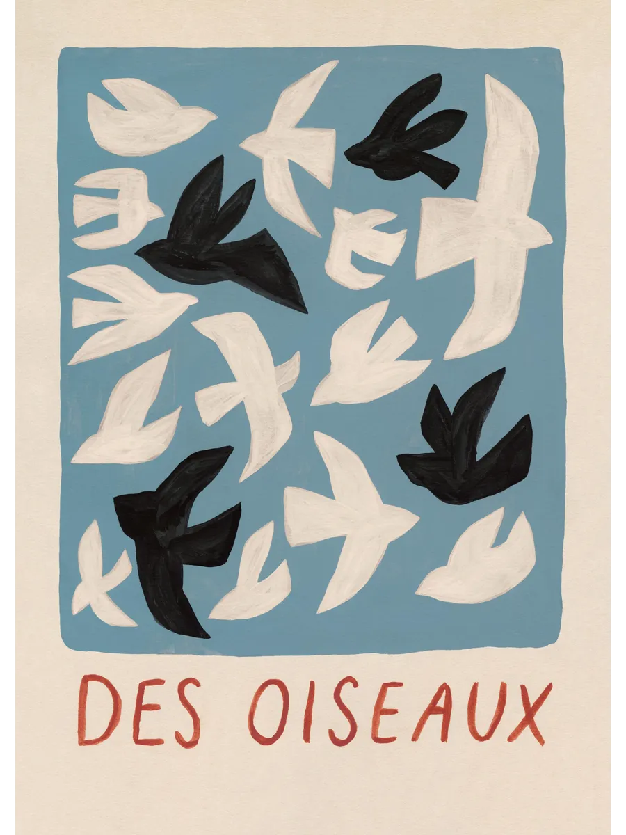 Birds