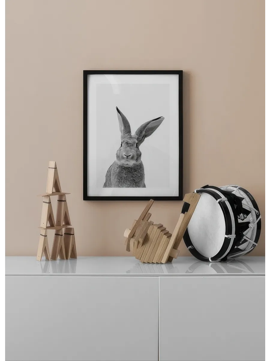 Black and White Rabbit